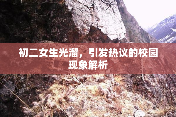 初二女生光溜，引发热议的校园现象解析