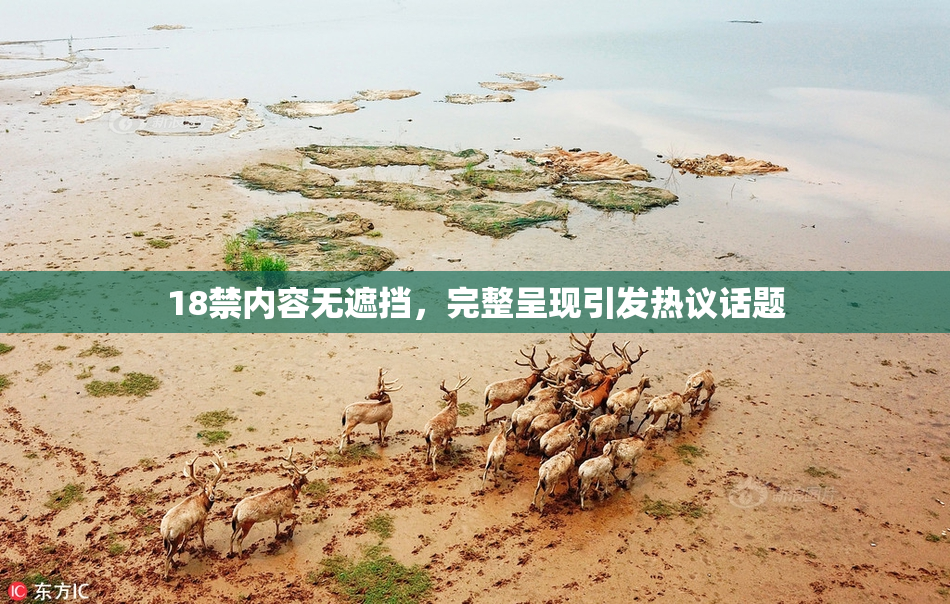 18禁内容无遮挡，完整呈现引发热议话题