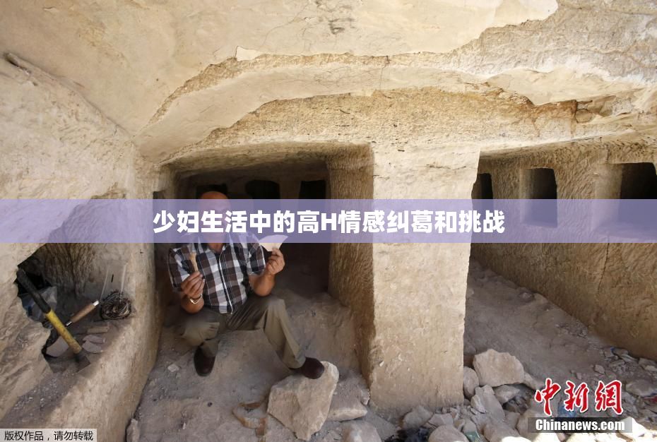 少妇生活中的高H情感纠葛和挑战