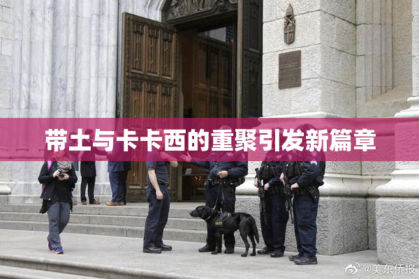 带土与卡卡西的重聚引发新篇章
