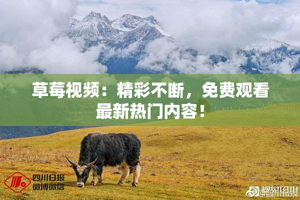 草莓视频：精彩不断，免费观看最新热门内容！