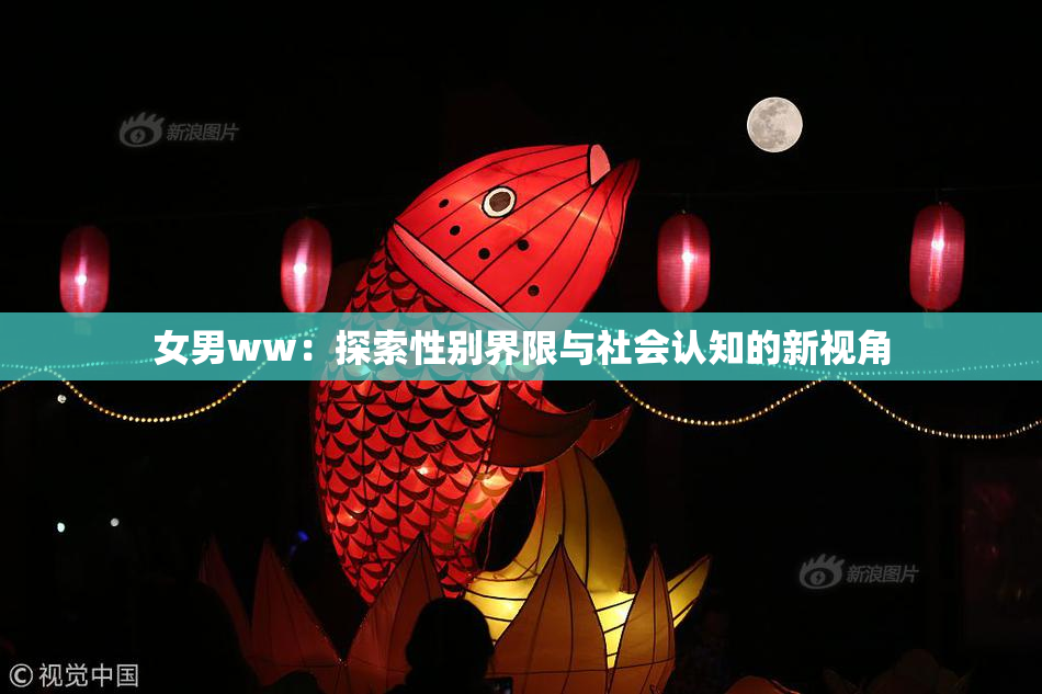 女男ww：探索性别界限与社会认知的新视角