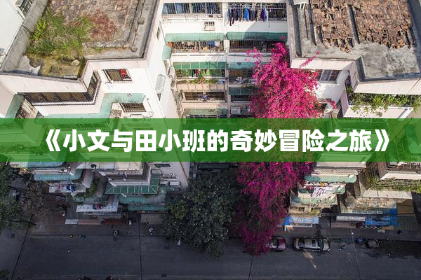 《小文与田小班的奇妙冒险之旅》