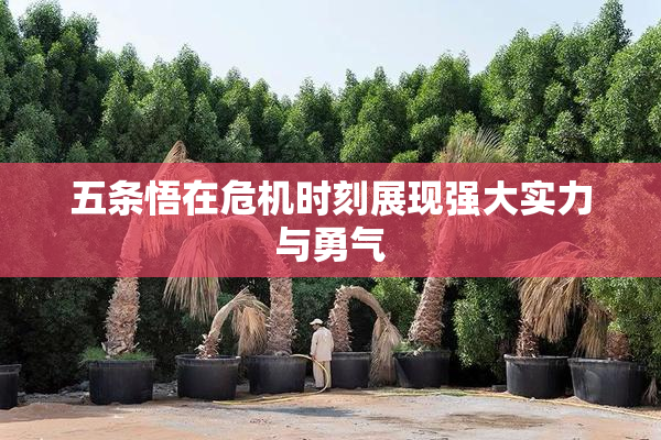 五条悟在危机时刻展现强大实力与勇气
