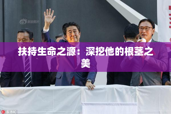 扶持生命之源：深挖他的根茎之美