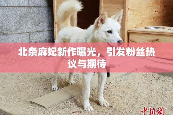 北条麻妃新作曝光，引发粉丝热议与期待