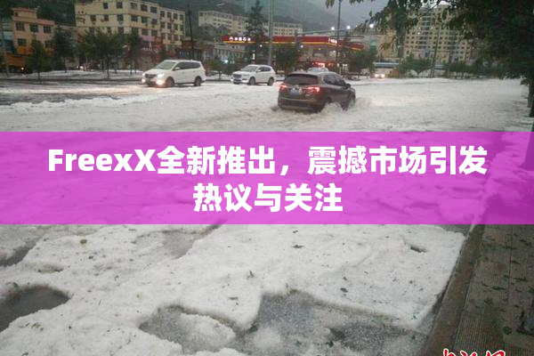FreexX全新推出，震撼市场引发热议与关注
