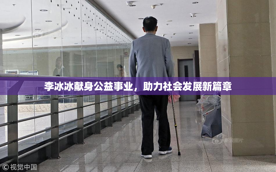 李冰冰献身公益事业，助力社会发展新篇章