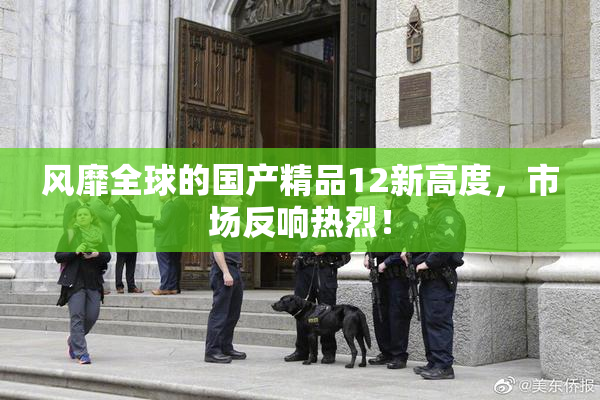 风靡全球的国产精品12新高度，市场反响热烈！