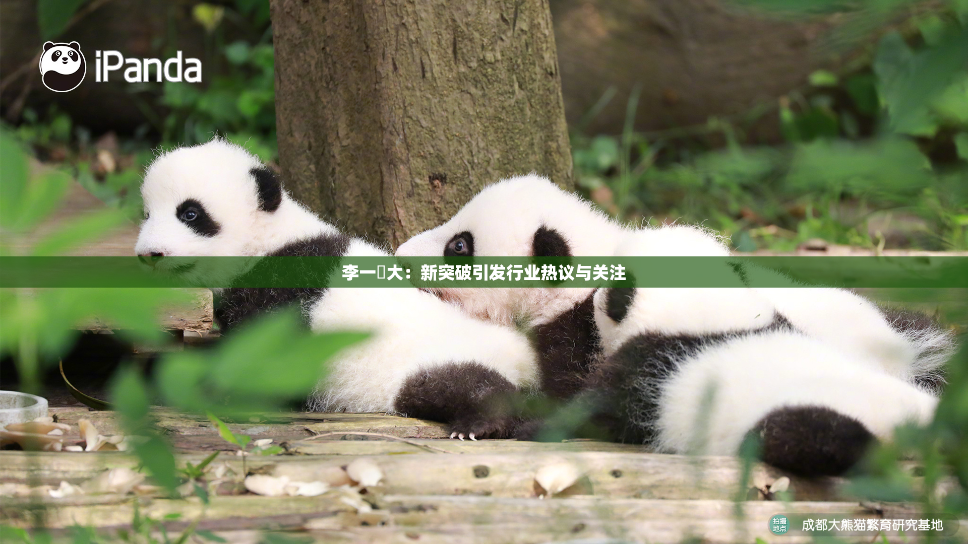 李一挏大：新突破引发行业热议与关注