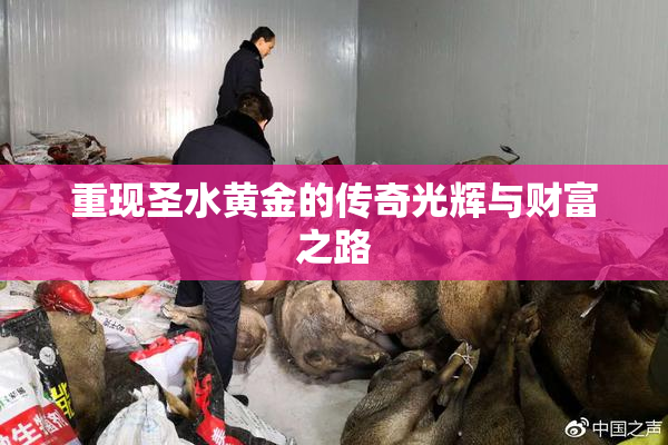 重现圣水黄金的传奇光辉与财富之路