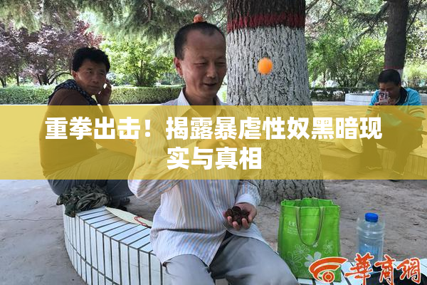 重拳出击！揭露暴虐性奴黑暗现实与真相
