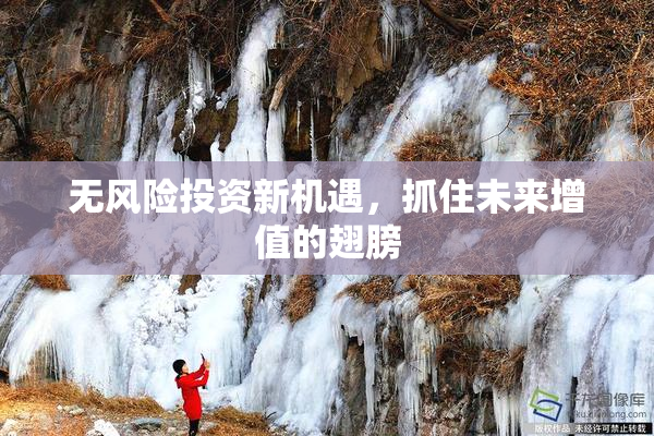 无风险投资新机遇，抓住未来增值的翅膀