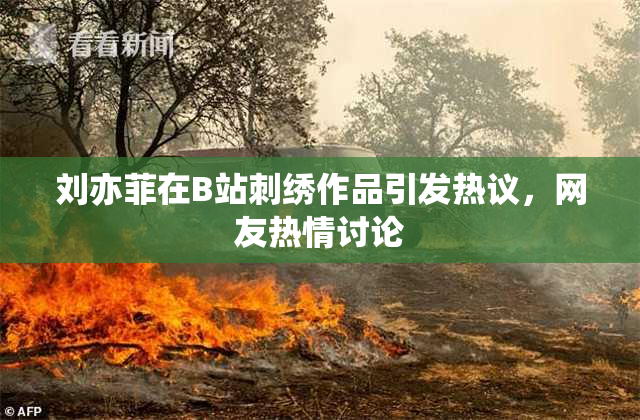 刘亦菲在B站刺绣作品引发热议，网友热情讨论