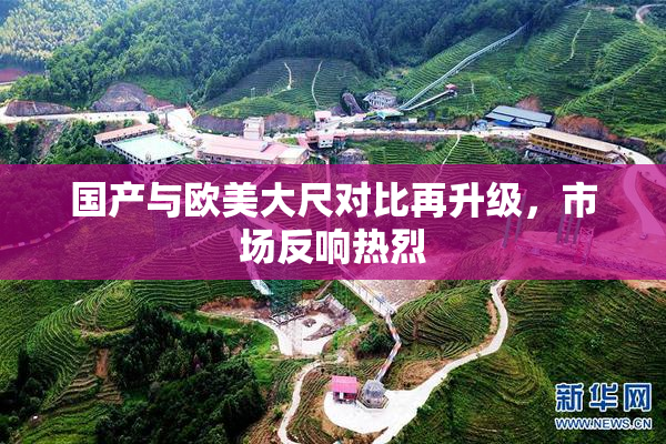 国产与欧美大尺对比再升级，市场反响热烈
