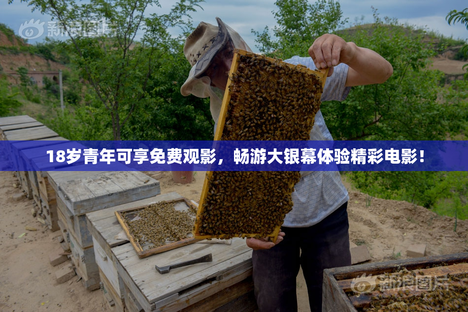 18岁青年可享免费观影，畅游大银幕体验精彩电影！