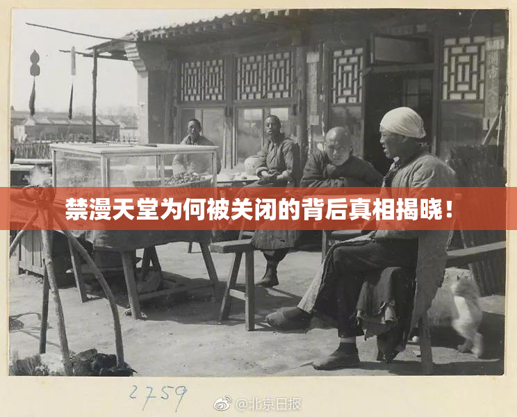 禁漫天堂为何被关闭的背后真相揭晓！
