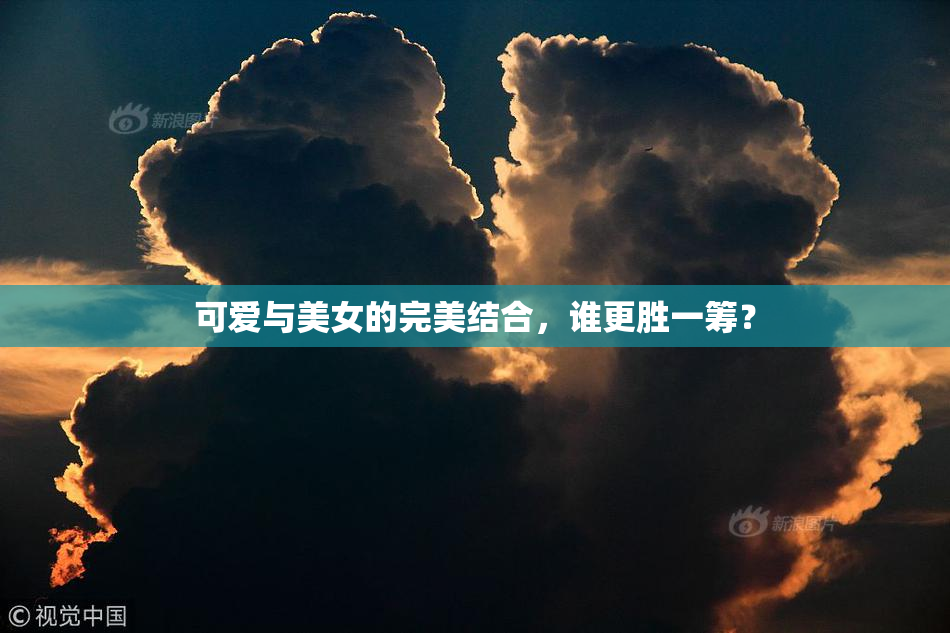 可爱与美女的完美结合，谁更胜一筹？