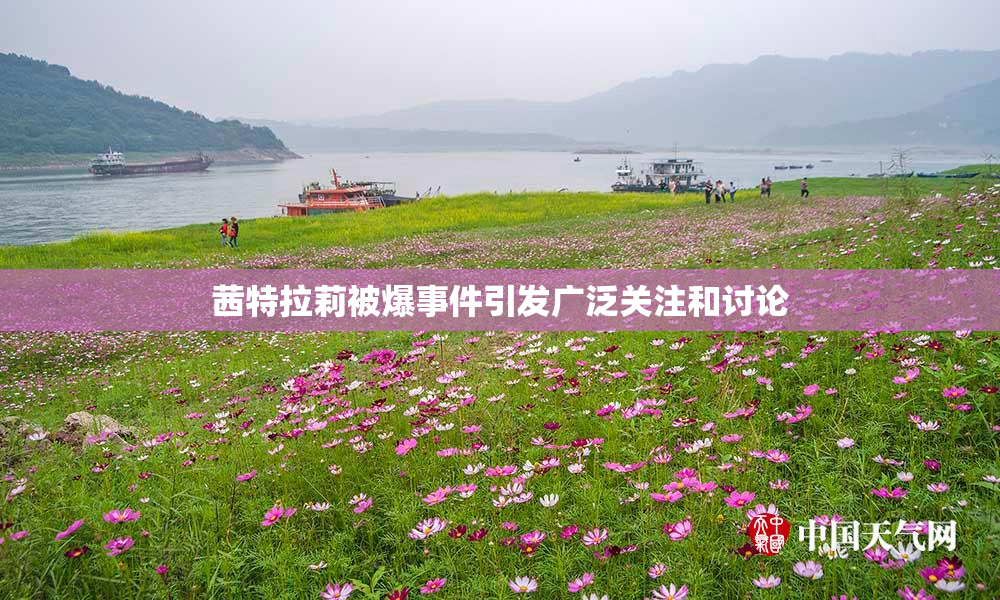茜特拉莉被爆事件引发广泛关注和讨论