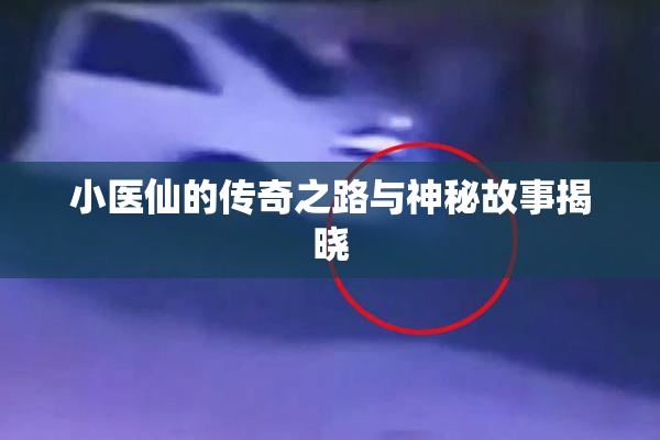 小医仙的传奇之路与神秘故事揭晓