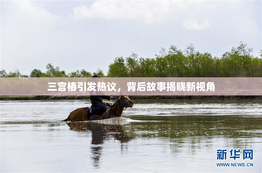 三宫椿引发热议，背后故事揭晓新视角