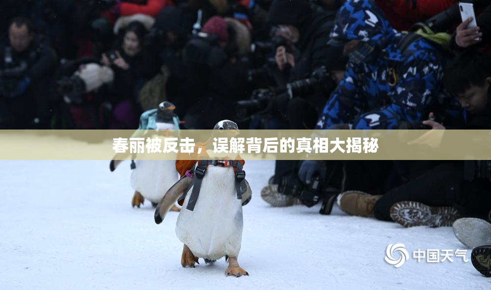 春丽被反击，误解背后的真相大揭秘