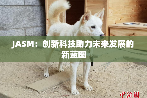 JASM：创新科技助力未来发展的新蓝图