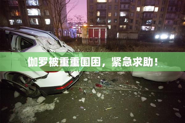 伽罗被重重围困，紧急求助！