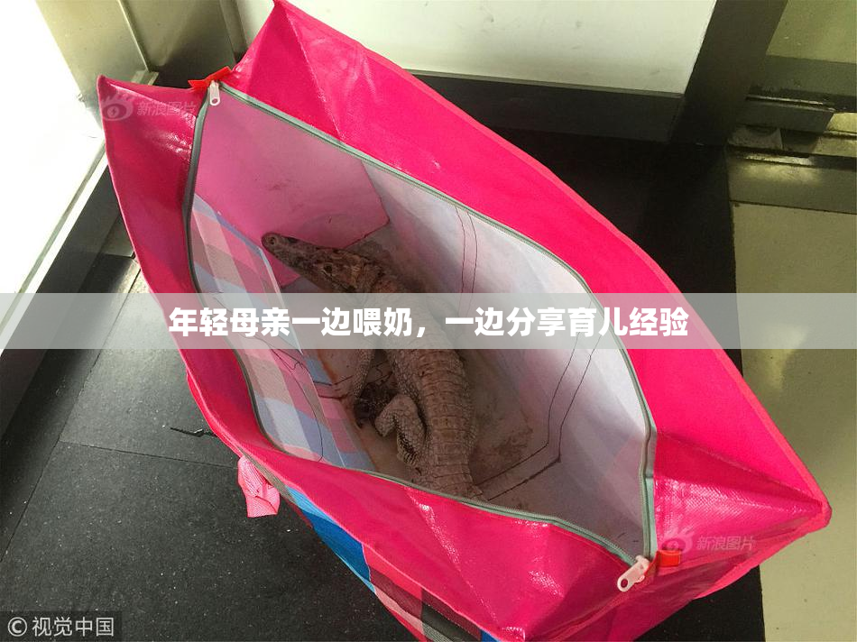 年轻母亲一边喂奶，一边分享育儿经验