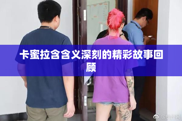卡蜜拉含含义深刻的精彩故事回顾