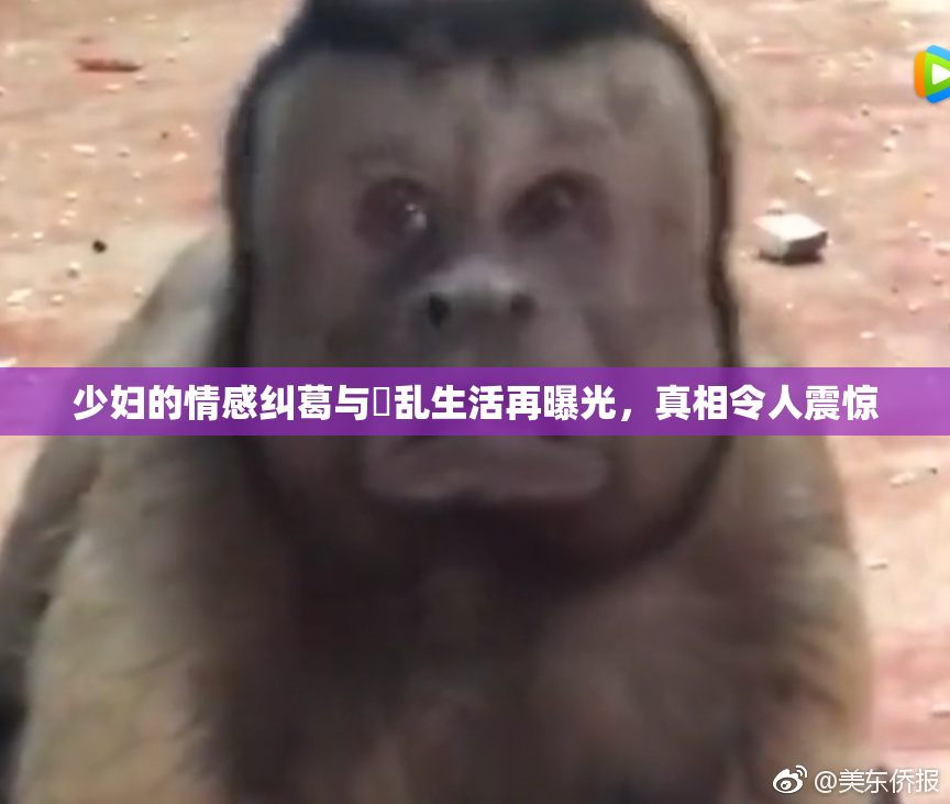 少妇的情感纠葛与婬乱生活再曝光，真相令人震惊