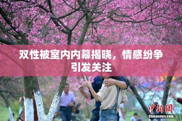 双性被室内内幕揭晓，情感纷争引发关注