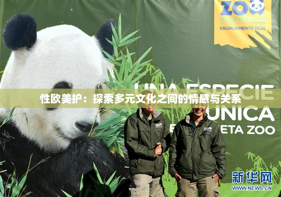 性欧美护：探索多元文化之间的情感与关系