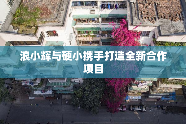 浪小辉与硬小携手打造全新合作项目