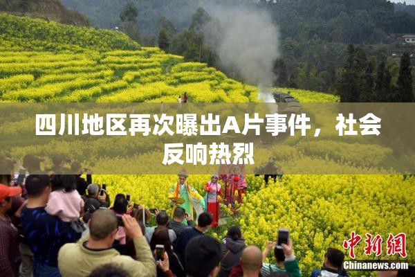 四川地区再次曝出A片事件，社会反响热烈