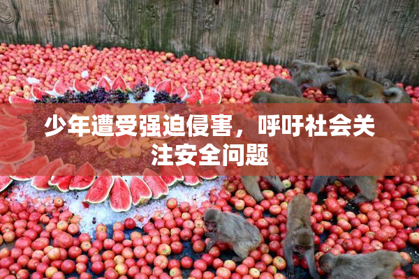 少年遭受强迫侵害，呼吁社会关注安全问题