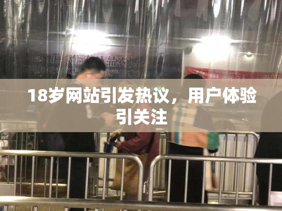 18岁网站引发热议，用户体验引关注