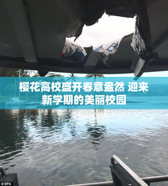 樱花高校盛开春意盎然 迎来新学期的美丽校园