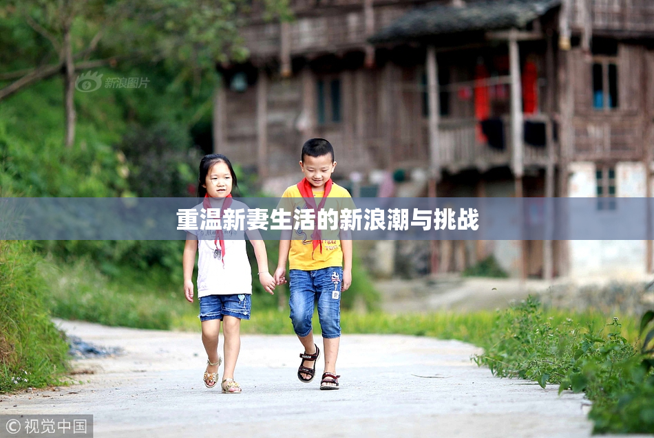 重温新妻生活的新浪潮与挑战