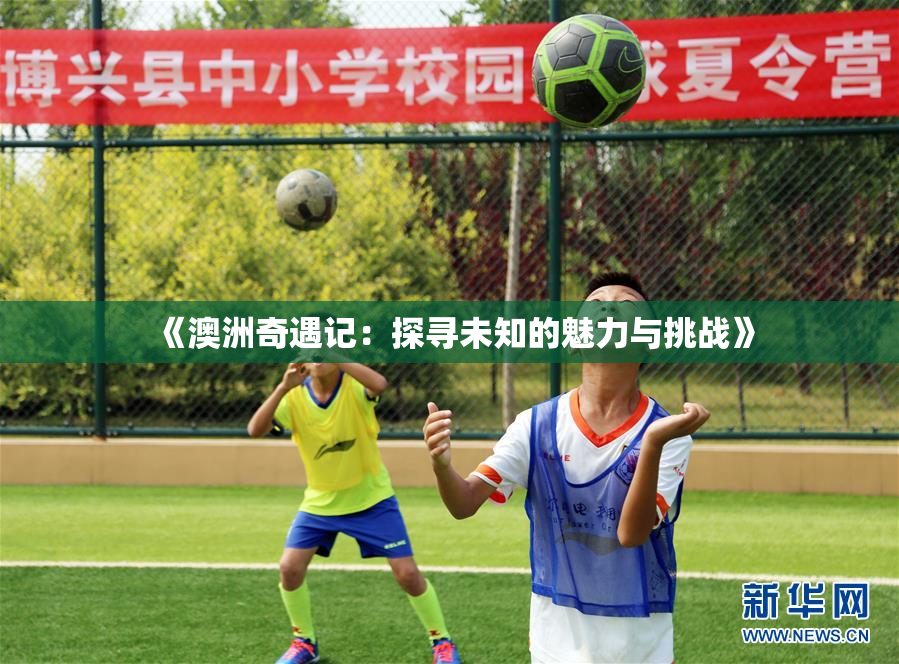 《澳洲奇遇记：探寻未知的魅力与挑战》