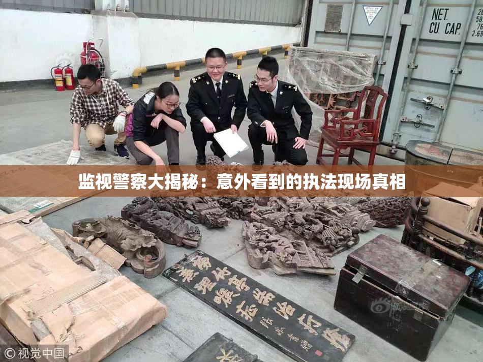 监视警察大揭秘：意外看到的执法现场真相