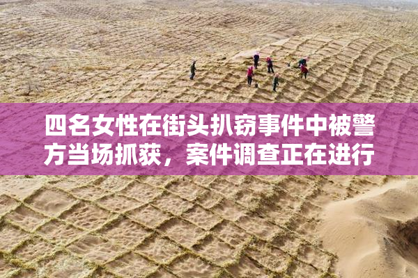 四名女性在街头扒窃事件中被警方当场抓获，案件调查正在进行中。