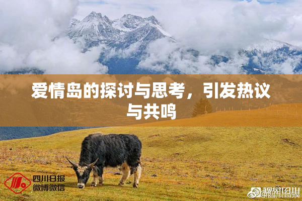 爱情岛的探讨与思考，引发热议与共鸣