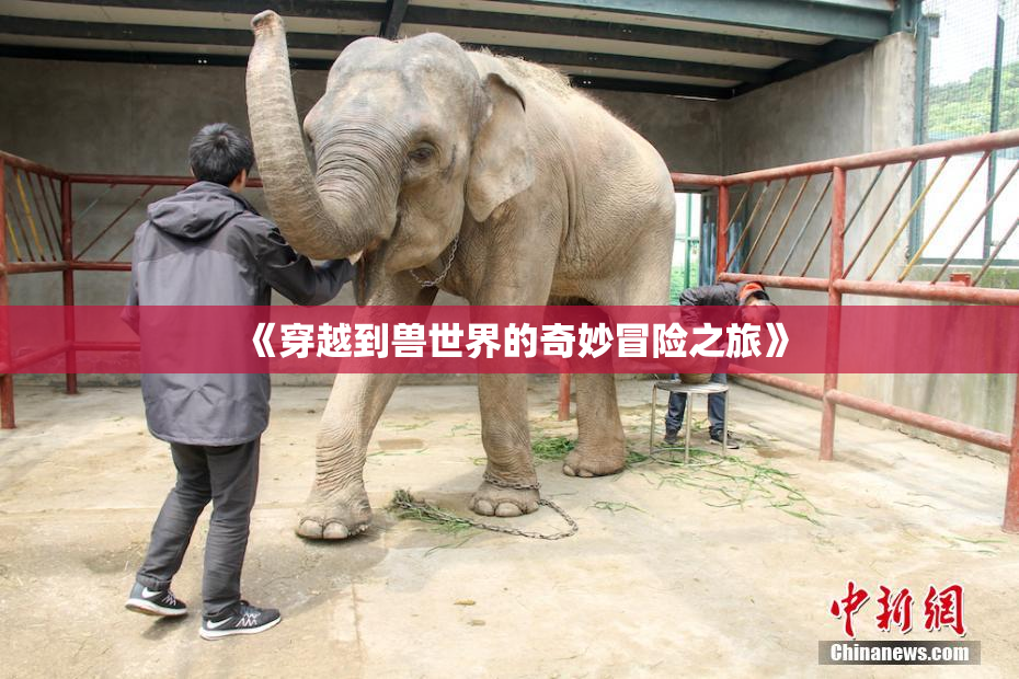 《穿越到兽世界的奇妙冒险之旅》