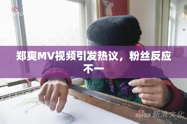 郑爽MV视频引发热议，粉丝反应不一
