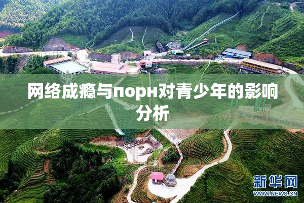 网络成瘾与порн对青少年的影响分析
