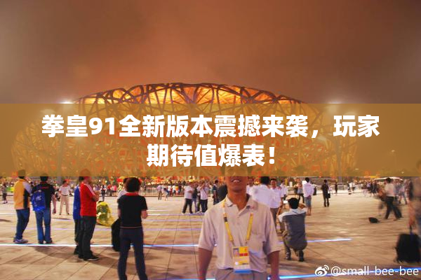 拳皇91全新版本震撼来袭，玩家期待值爆表！
