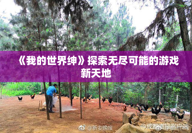 《我的世界绅》探索无尽可能的游戏新天地