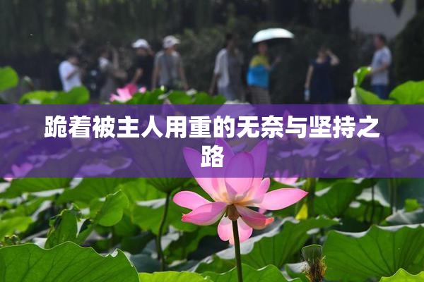 跪着被主人用重的无奈与坚持之路