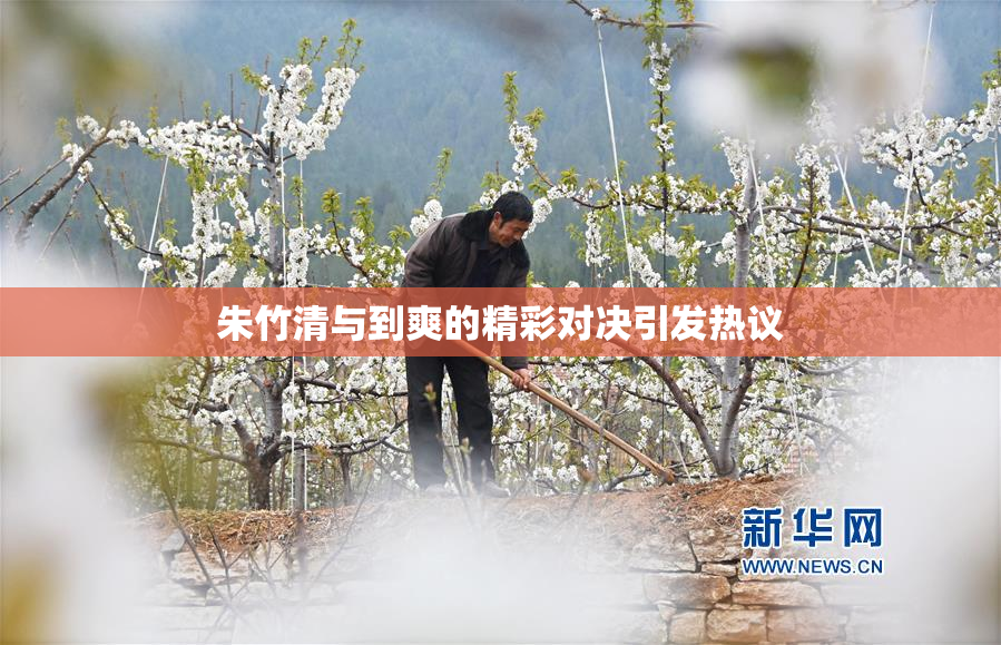 朱竹清与到爽的精彩对决引发热议
